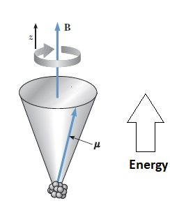The precessional of nuclear magnetic moments where the magnetic field is along the z-axis The precessional of nuclear magnetic moments where the magnetic field is along the z-axis